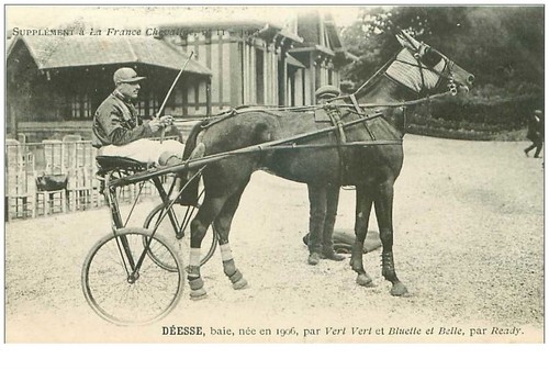 Hippisme - .n, °