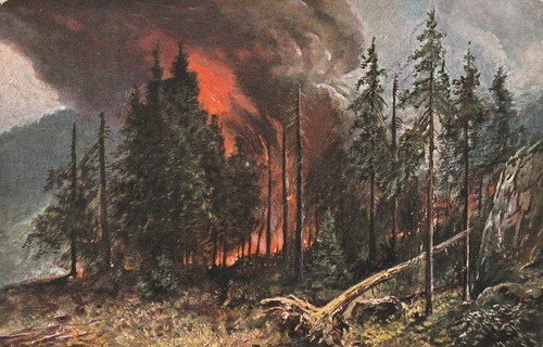 1042 feuer waldbrand - ak,