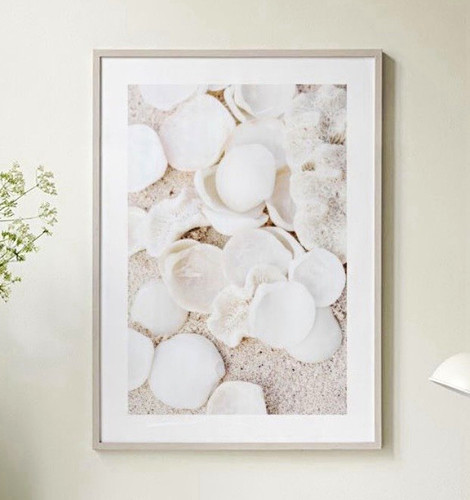 Desenio poster beige muschel - desenio,