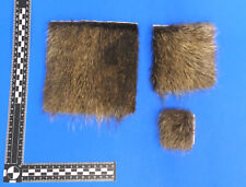 Echtes Nutriafell, Fellstücke