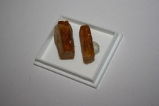 Kopal (Copal) San Diego Suarez