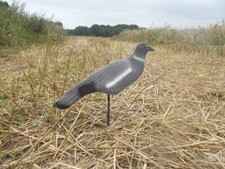 12 Stuck Beflockte Halbscalen