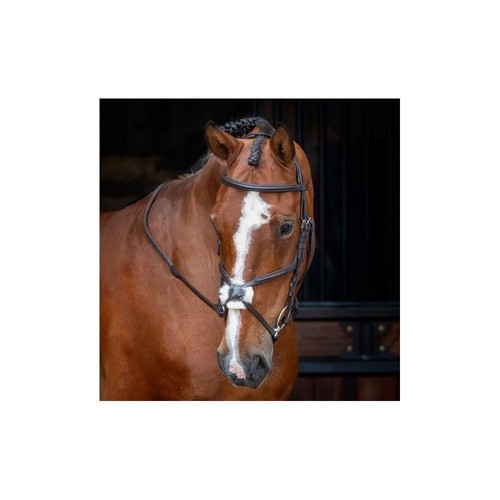Shires velociti rapida grackle - shires,