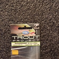 EXORI Trout Project