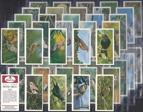Grossabnahme 100 sets - **grossabnahme,