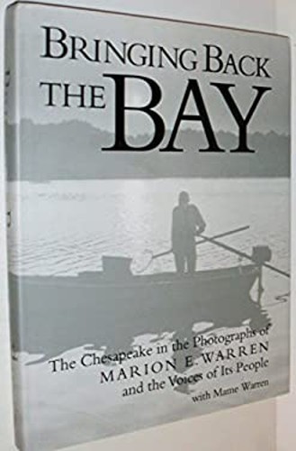 Bringing back the bay - :,