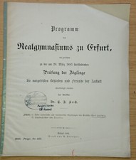 Jahresbericht Realgymnasium