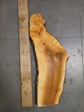 Bohle Apfel Baumscheiben Holzscheibe DEKO Apfelbaum Ca 70x20x3 cm exclusiv