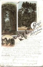 Gruss von der Hohen Sonne -