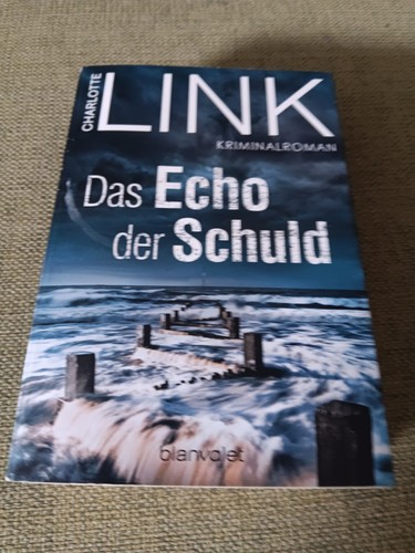 Das echo der schuld - echo,