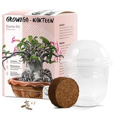 GROW2GO Anzuchtset - Pflanzset aus Mini-Gewächshaus, Erde & Wüstenrose-Samen