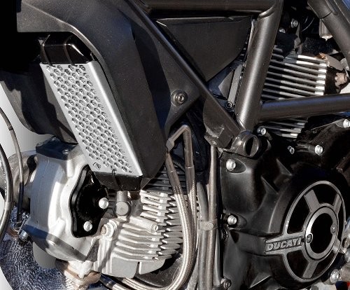 Dbk ducabike ölkühlerschutz - dbk/ducabike,
