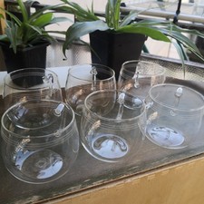 6 Teegläser Jenaer Glas
