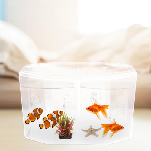 Aufzuchtbecken fische - aufzuchtbecken,