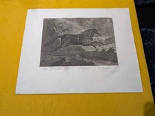 J.E. Ridinger Kupferstich "Ein