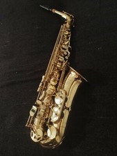 Alt-Saxophon Stagg 77-SA -Handgefertigt -wie neu -Premium Sound -inkl. Koffer
