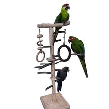 Kletterbaum "Welli" Freisitz