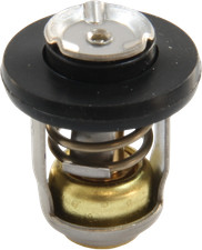 Thermostat für Mercury