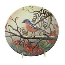Tirschenreuth Sammelteller Buchfink "unsere kleine Vogelwelt"1992 ca.20 cm Top