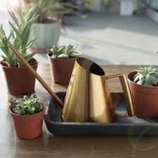 Kleine Edelstahl Gießkanne