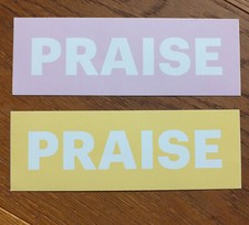 Praise Sneaker Freaker Skatboard BMX Surf 2X Sticker Aufkleber 