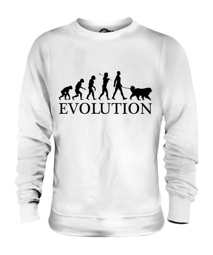 Tibetan mastiff evolution - evolution, of