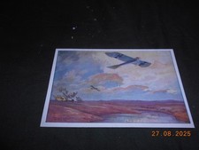 original ca. 1915 WK1 Kunst deutsches Militärflugzeug Taube Farbe