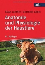 Anatomie und Physiologie der