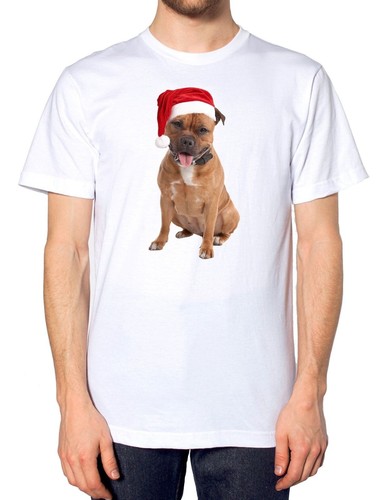 Staffordshire bullterrier - staffordshire,