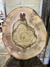 Baumscheibe, Holzscheibe