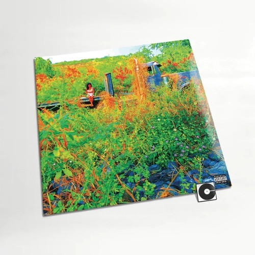 Jhené aiko trip 2lp - jhené,