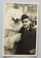 2535/ altes Orig. Foto, Mann mit Eisbär Kostüm, Schnappschuss