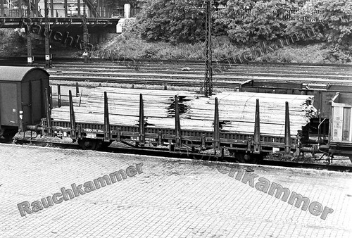 Fotoabzug 10x15 db - 10x15,