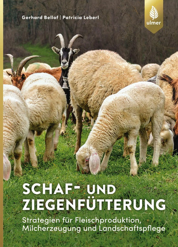 Schaf und ziegenfütterung - schaf-,
