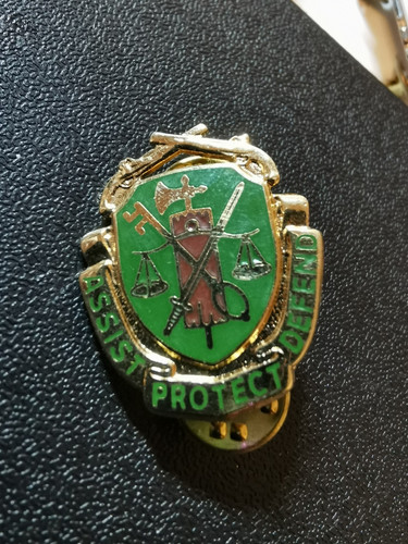 Alter army pin crest - us,