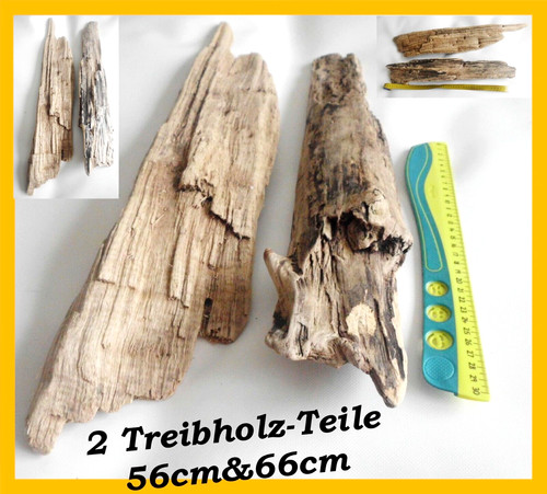 Treibholz schwemmholz skulptur - treibholz,