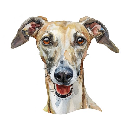 Designer aufkleber sticker - /,