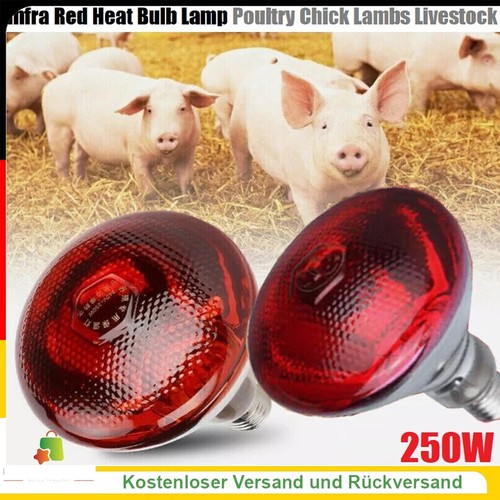 Infrarotlampe wärmelampe - infrarotlampe,