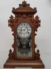 Welch pepita walnut - e.n.,