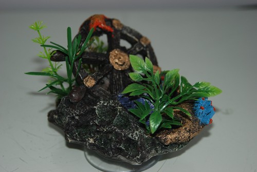 Aquarium rifffelsen sauger - aquarium, +
