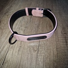 Hundehalsband Jacks O Be Rosa