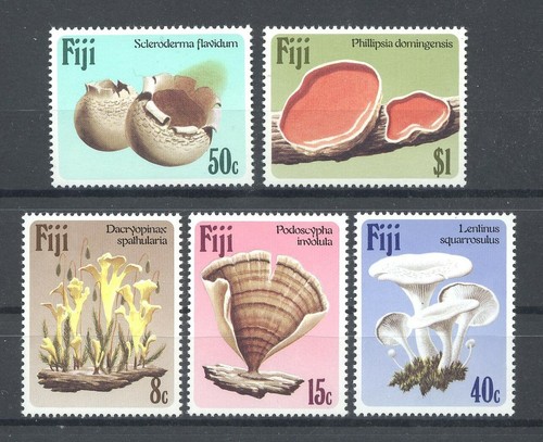 Pilze mushrooms - pilze,,