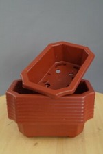 Bonsai Trainingsschale