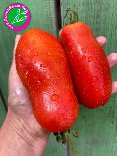 San marzano tomate - tomate🍝, 10+