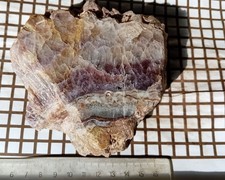 Amethyst freie XX SCHLOTTWITZ