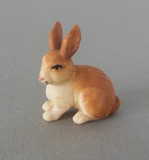 Hase sitzend hoch für - hase,