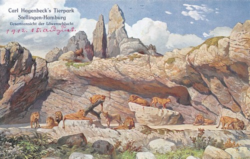 795381 zoo carl - 795381),