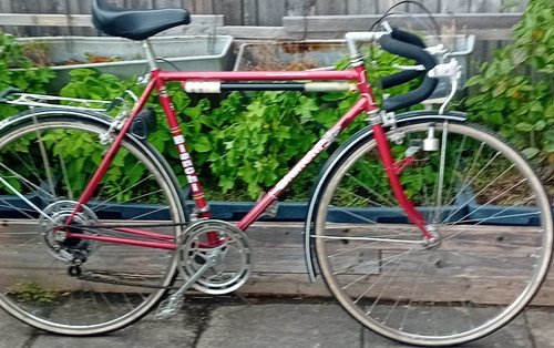 Bianchi campione del mondo - del,