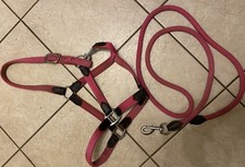 Euroriding Halfter mit