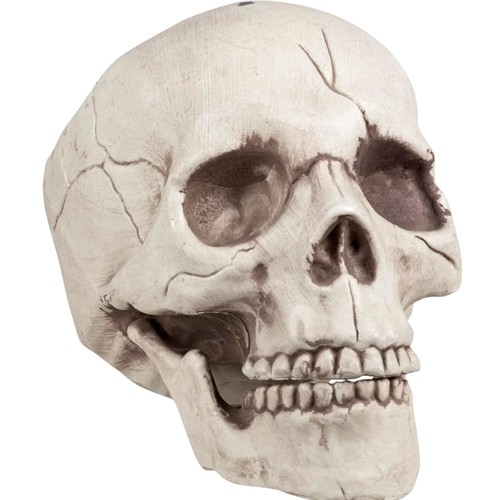 Schädel deko halloween horror - deko,